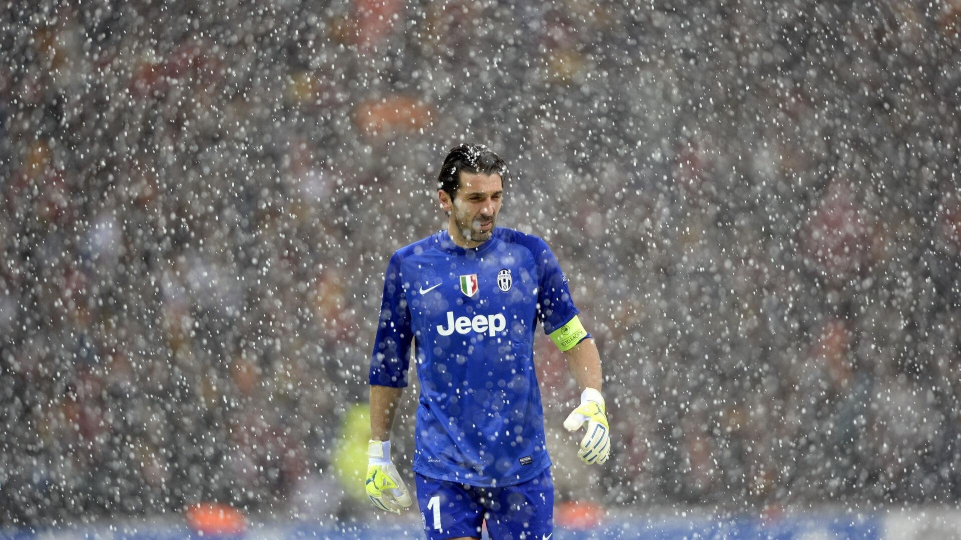 “尼古拉斯·桑特基的技巧与创造力，帮助美洲狮队走向橄榄球巅峰”