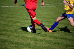 爱游戏登录入口-男篮国家队专项安排外线射手训练增强火力输出，男篮外援